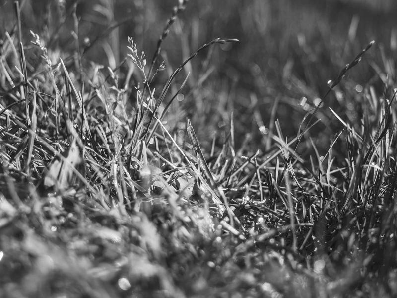 sudoku achievement badge screenshot 5